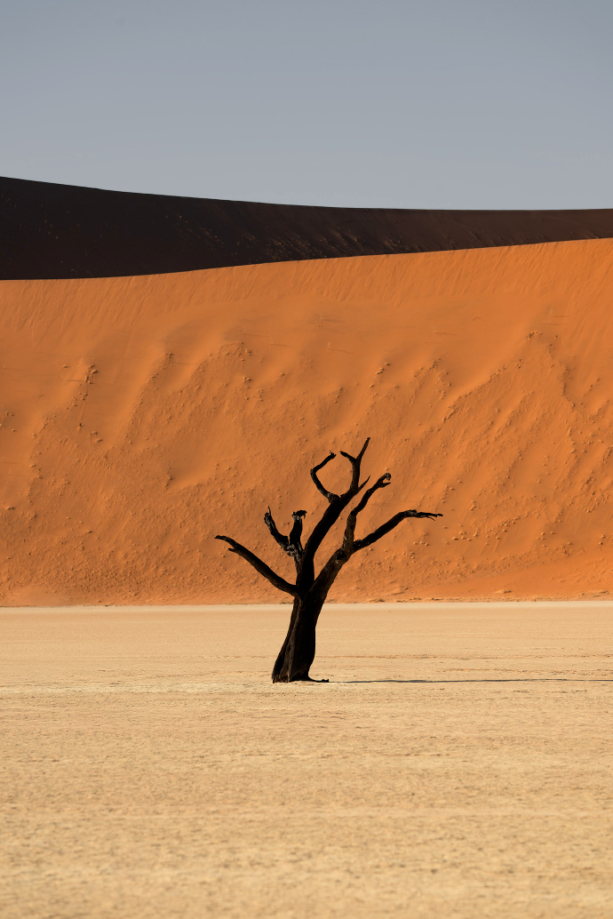 image-20260127104536286